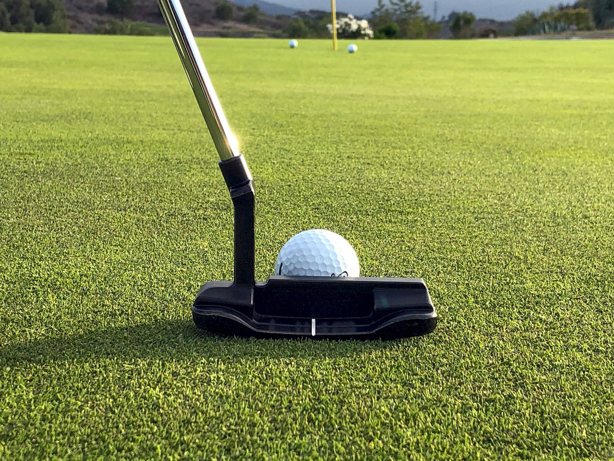A golf ball sits on a black tee with a putter next to it on a well-manicured green, a practice area in the distance.